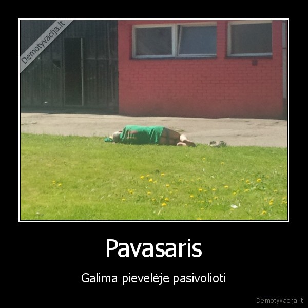 Pavasaris