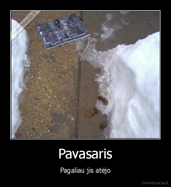 kubilius, pamete