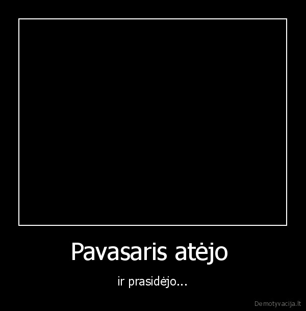 moto,vienke,panevezys