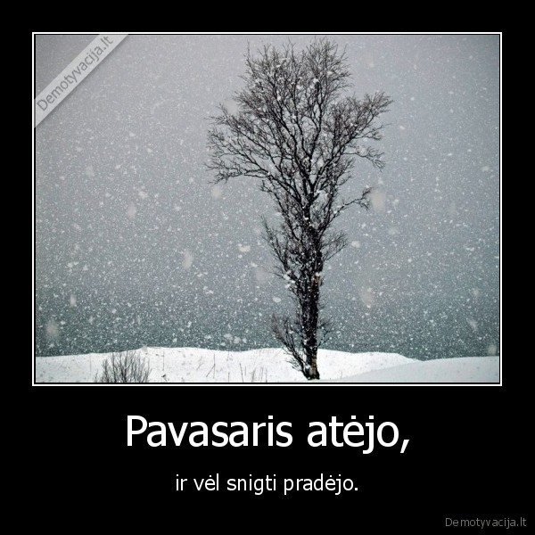 Pavasaris atėjo,