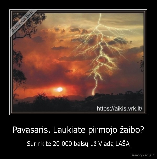 vladas, lasas,zaibas,prezidentas,rinkimai