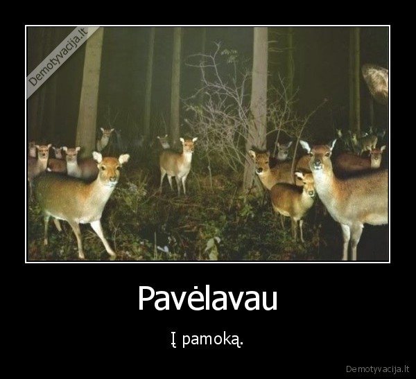ziuri,stebisi,veluoti
