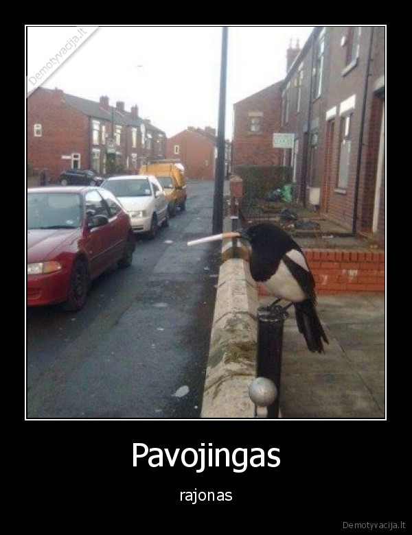 Pavojingas