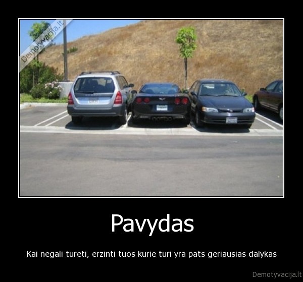 Pavydas