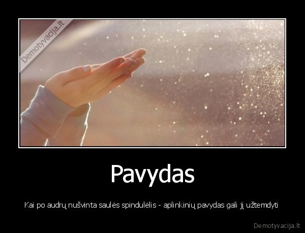 Pavydas