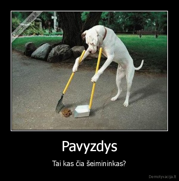 betvarke,suo
