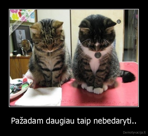 Pažadam daugiau taip nebedaryti..