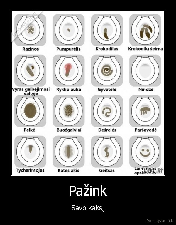 sudu, klasifikavimas,kakaliai