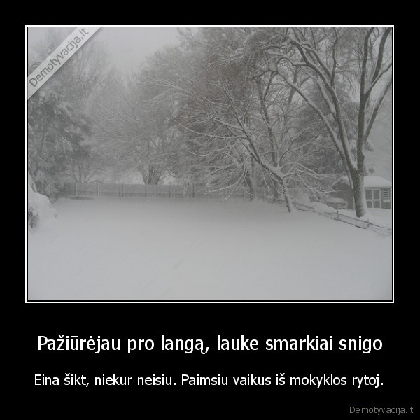 juodas, humoras,tinginys