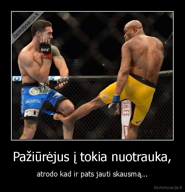 Pažiūrėjus į tokia nuotrauka,