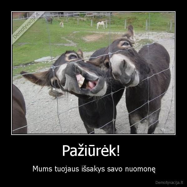 Pažiūrėk! 