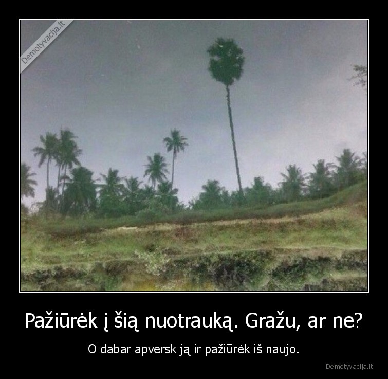 apsverstas, vaizdas