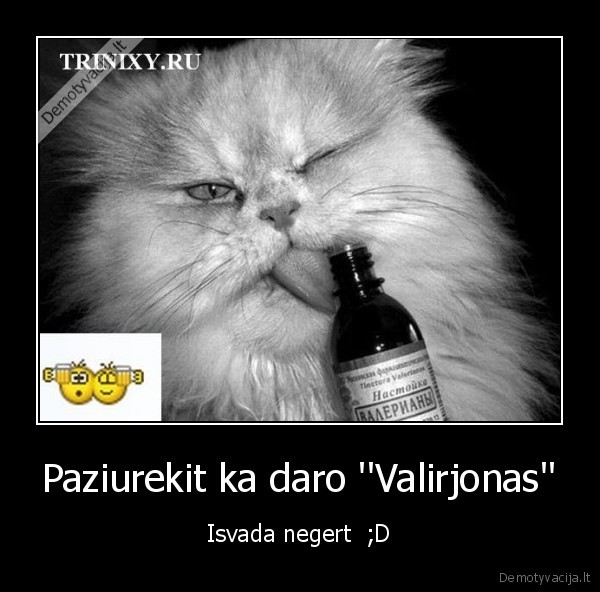 valirjonas,kate,ggyvenimas
