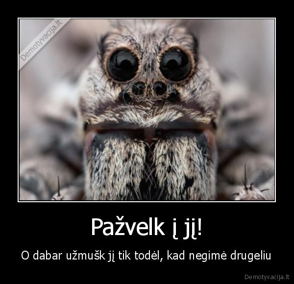 Pažvelk į jį!