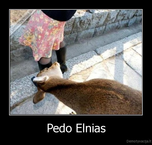Pedo Elnias