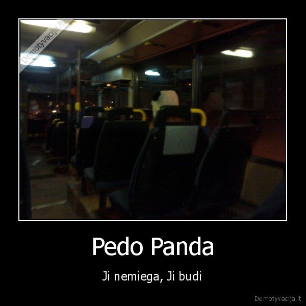 Pedo Panda