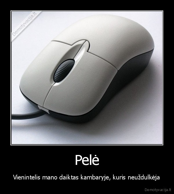 Pelė