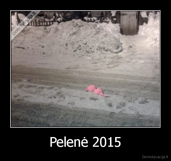 pamete,liemenele