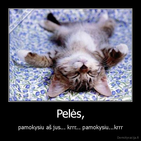 katyte,peles,demotu