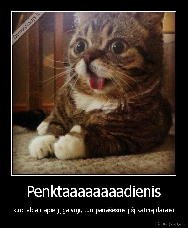 Penktaaaaaaaadienis