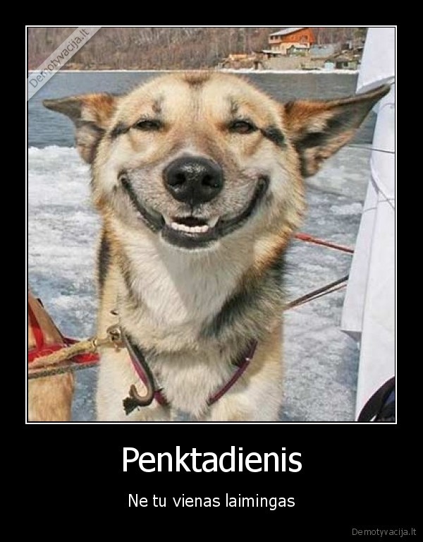 penktadienis,suo,laimingas