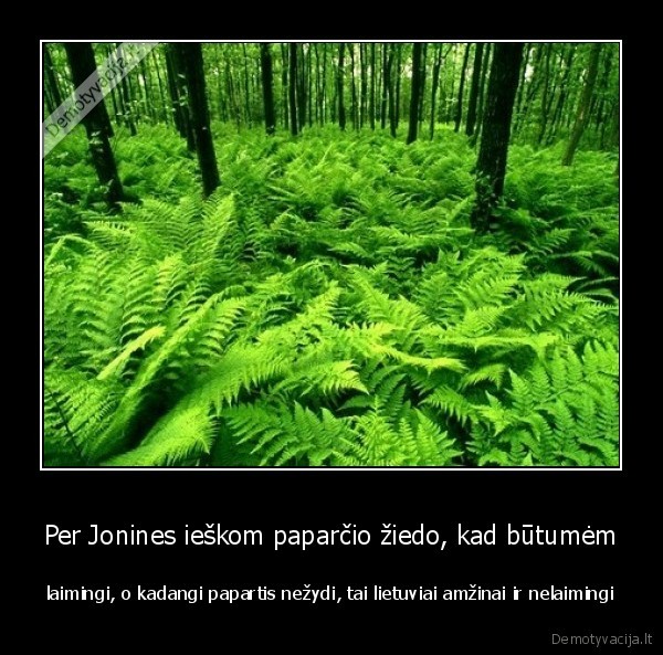 Per Jonines ieškom paparčio žiedo, kad būtumėm