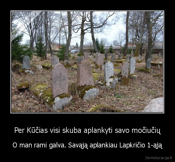 kucios,mociutes, lankymas,juodas, humoras