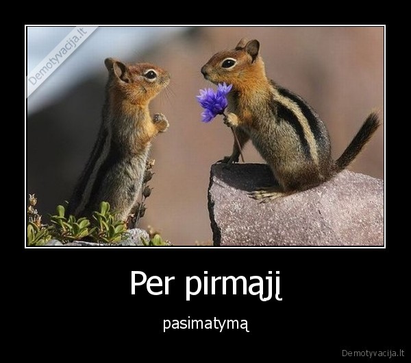 Per pirmąjį