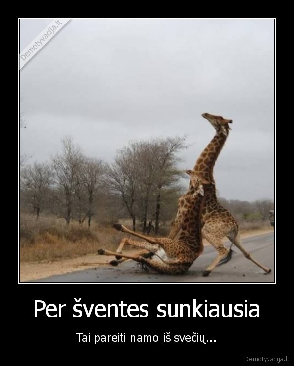 sventes,vilti,namo