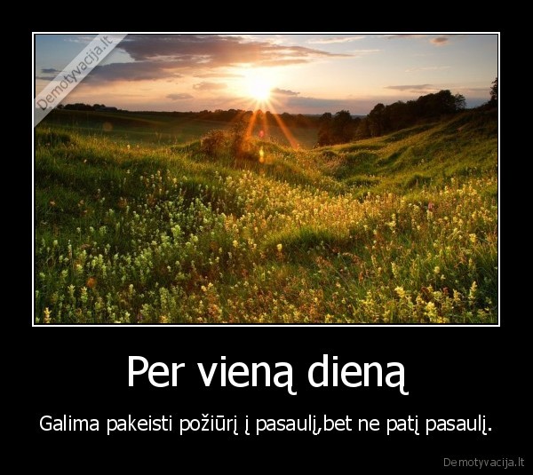 Per vieną dieną