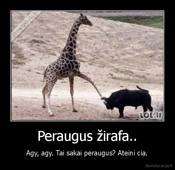 zirafa,vaflis,spyris,hitas,peugeot,gyvunai,car,drift,katyte,uzsitusink