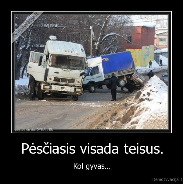 avarija, pestysis
