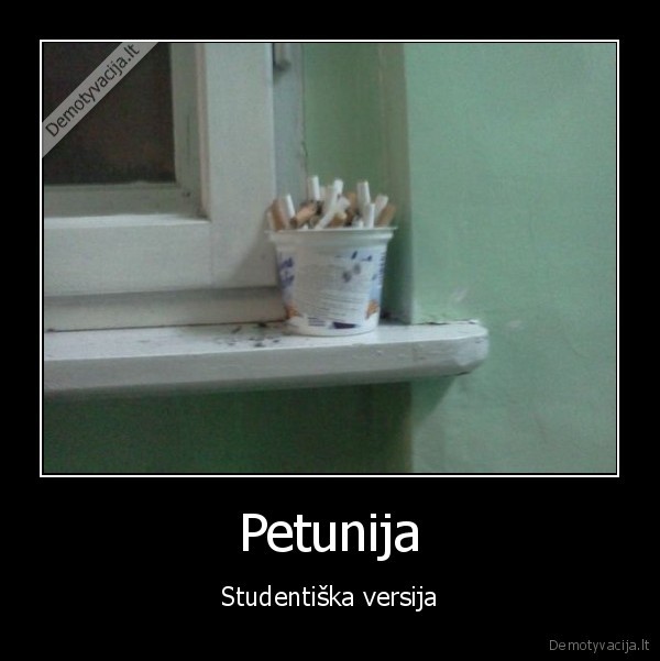 cigaretes,geles