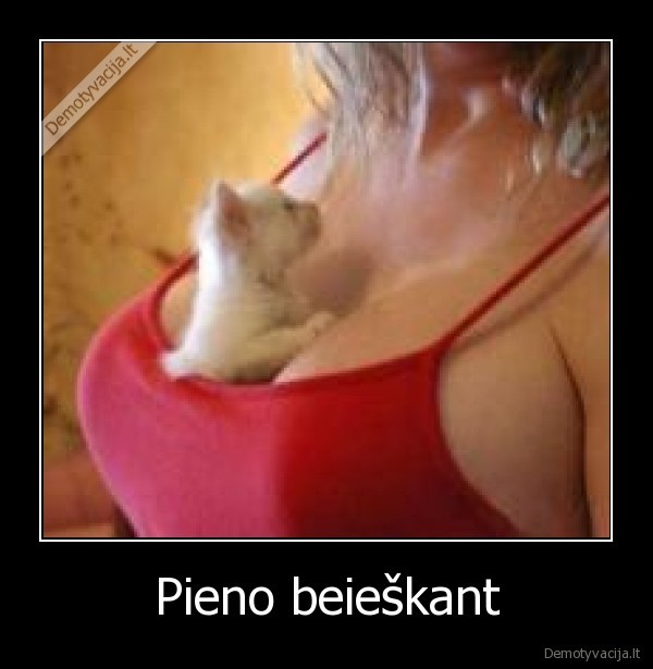 Pieno beieškant