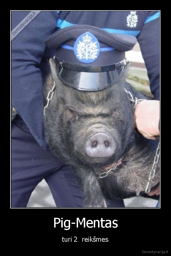 Pig-Mentas