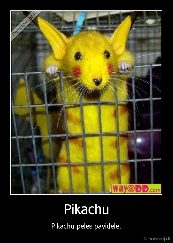 Pikachu