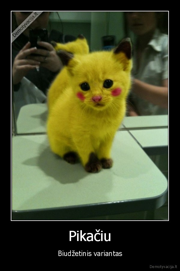 pikaciu,pokemonai,krize