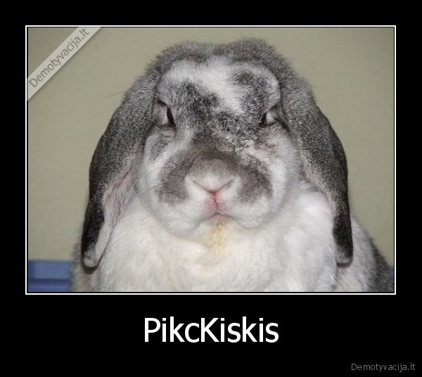 pildyk
