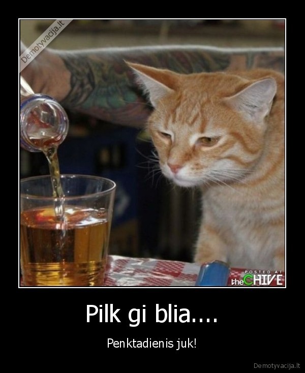 Pilk gi blia....