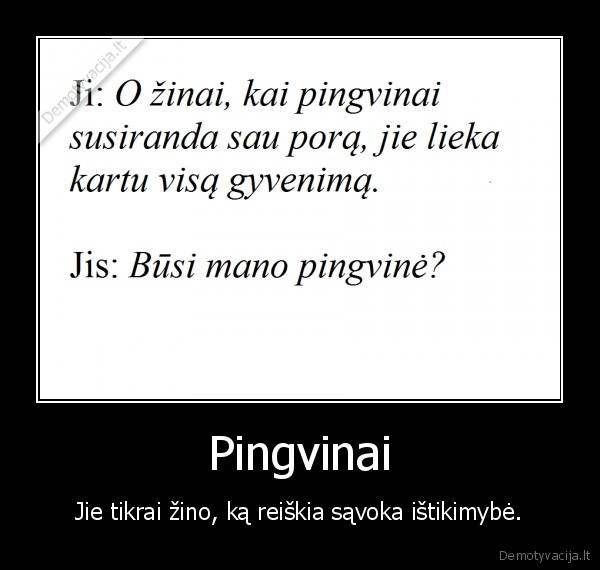 Pingvinai