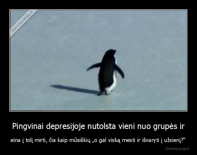 uzsienis,pabegimas,emigracija,pingvinai