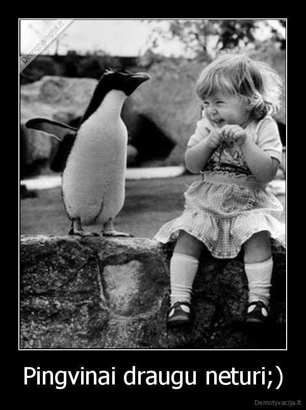 auga, forever, alone