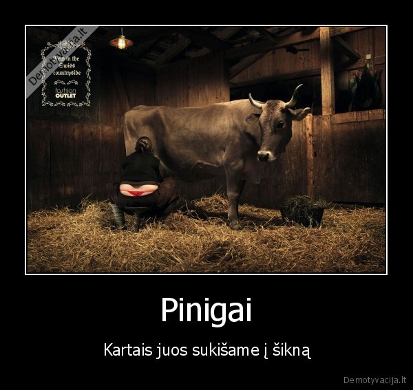 pinigai