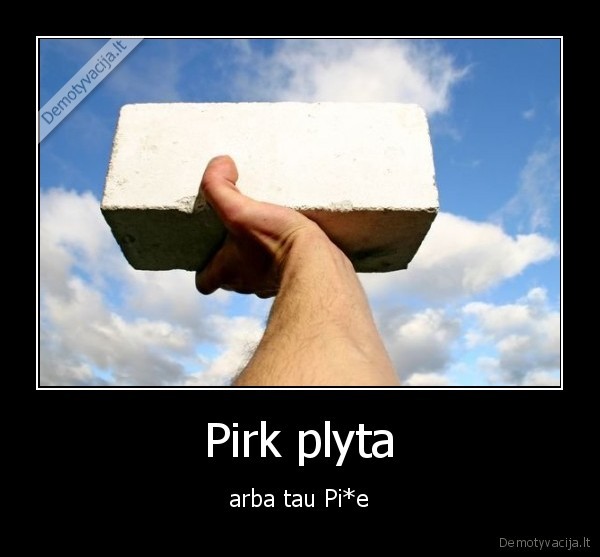 Pirk plyta
