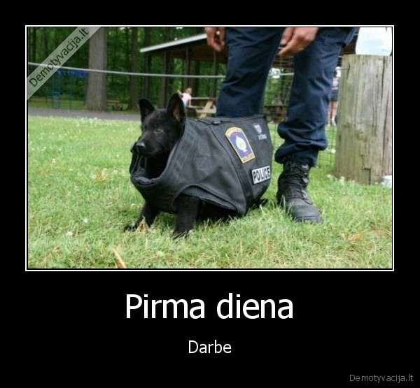 tarnybinis, suo,suniukas,policijos, suo