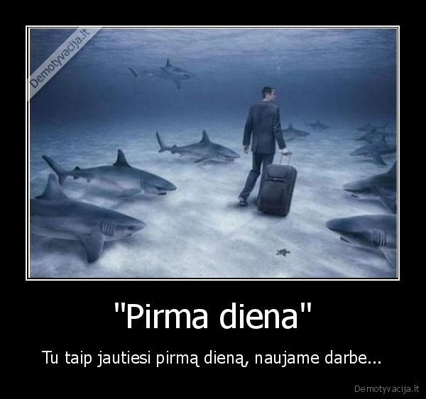 pirma,darbas,baime,ryklys