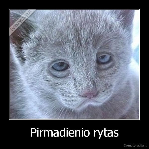 Pirmadienio rytas