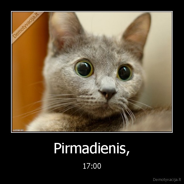 Pirmadienis,