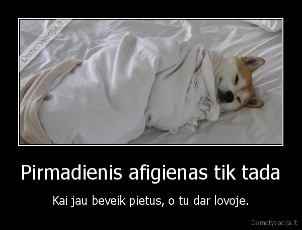 lova,pietus,meigas,pirmadienis