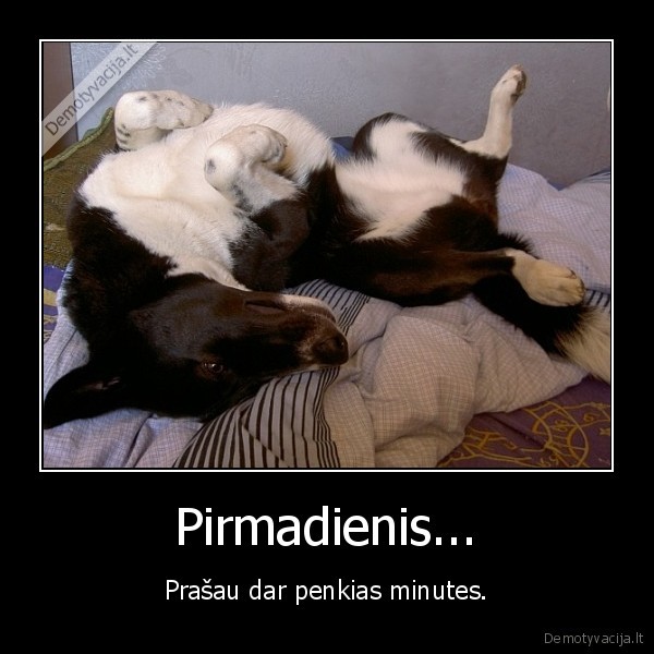 pirmadienis